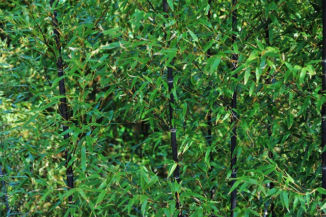 Sådan sikrer kolding kommunes institutioner god trivsel for børnene