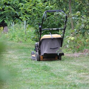 Almindelig benzin vs. Alkylatbenzin – hvad er bedst til græsslåmaskinen?